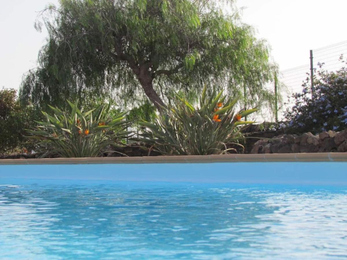 Wind Wave 28B - Heated & Shared Pool Villa La Oliva Exterior foto